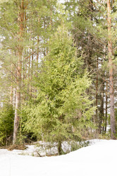 Similar image 6209845