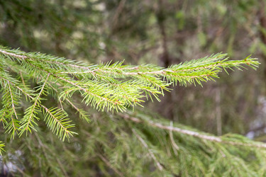 Similar image 6209846