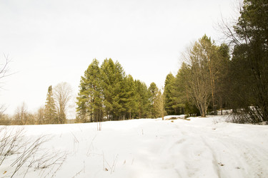 Similar image 6209847