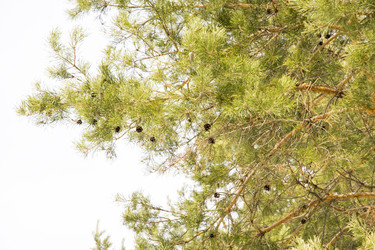 Similar image 6209851