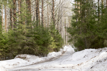 Similar image 6209854