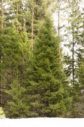 Similar image 6209855