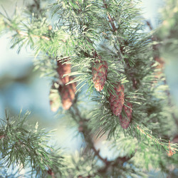 Similar image 6209909