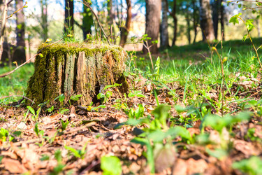 Similar image 6210748