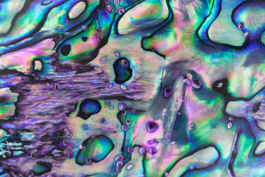 Similar image 6210769