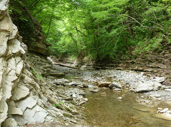 Similar image 6211479