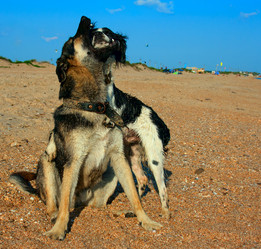 Similar image 6235315