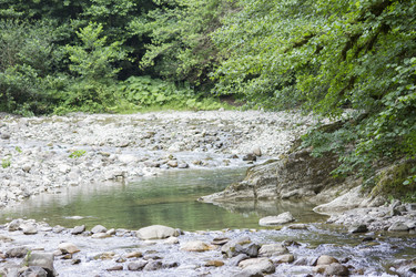 Similar image 6235318