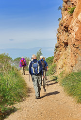 Similar image 6235352