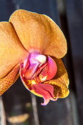 Similar image 6235390