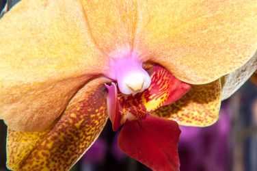 Similar image 6235392