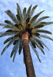 Similar image 6235463