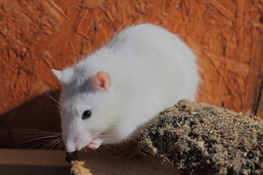 Similar image 6235873