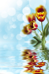 Similar image 6235885