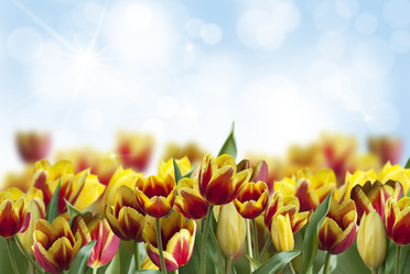 Similar image 6235889