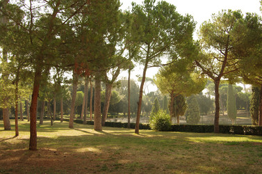 Similar image 6235941