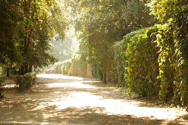 Similar image 6235947