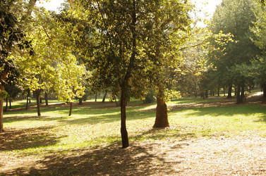 Similar image 6235948