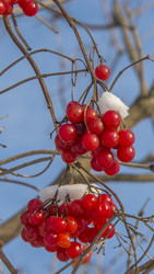 Similar image 6235969