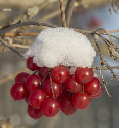 Similar image 6235970