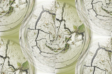 Similar image 6235982