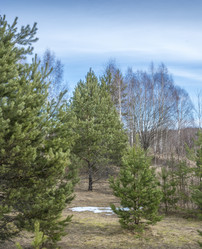 Similar image 6235984