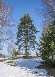 Similar image 6235986