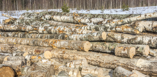 Similar image 6235987