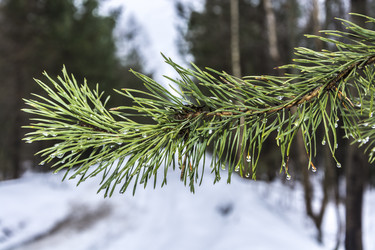 Similar image 6235989