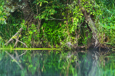 Similar image 6236002