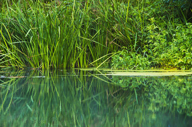 Similar image 6236003