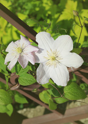 Similar image 6236005