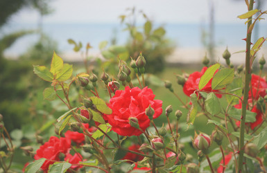 Similar image 6236006