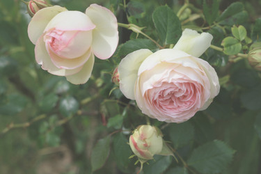 Similar image 6236007