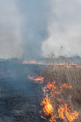 Similar image 6236012