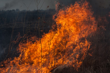 Similar image 6236013