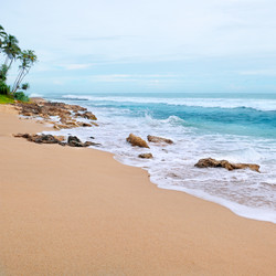 Similar image 6236035