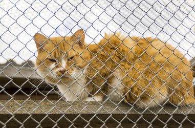 Similar image 6236041