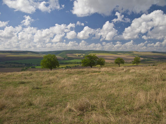 Similar image 6236077