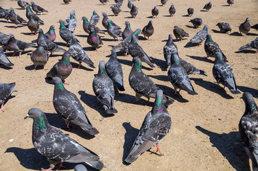 Similar image 6236394