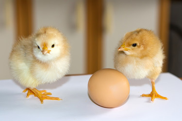 Similar image 6236423