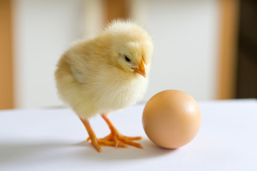 Similar image 6236425