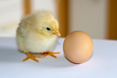 Similar image 6236455