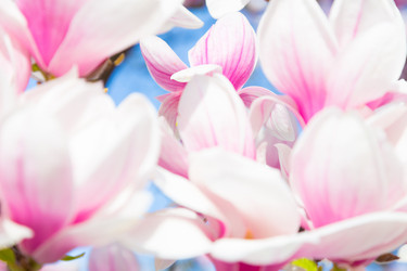 Similar image 6236656