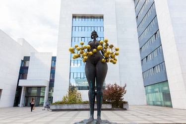 Similar image 6236760