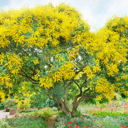 Similar image 6236821