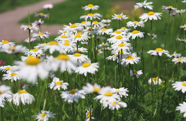 Similar image 6237022