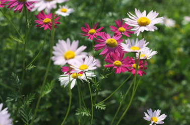 Similar image 6237024