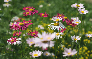 Similar image 6237025