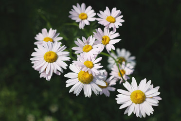 Similar image 6237026